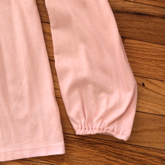 Talbots Soft Pink Ruffled Blouse - Picture 4 of 4